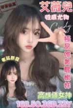 台南定點茶-艾薇兒