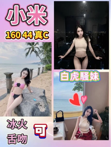 台北定點茶-小米